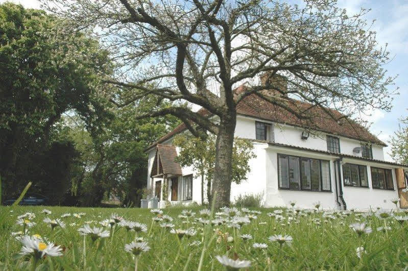เดอะ ไวท์ เฮาส์ Bed & Breakfast Takeley ภายนอก รูปภาพ