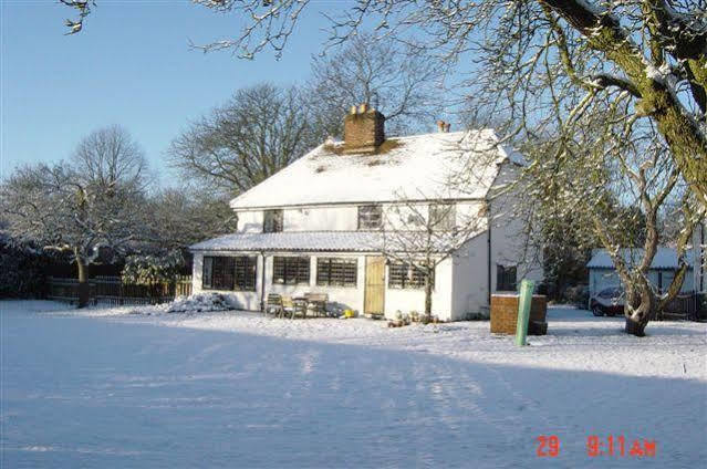 เดอะ ไวท์ เฮาส์ Bed & Breakfast Takeley ภายนอก รูปภาพ