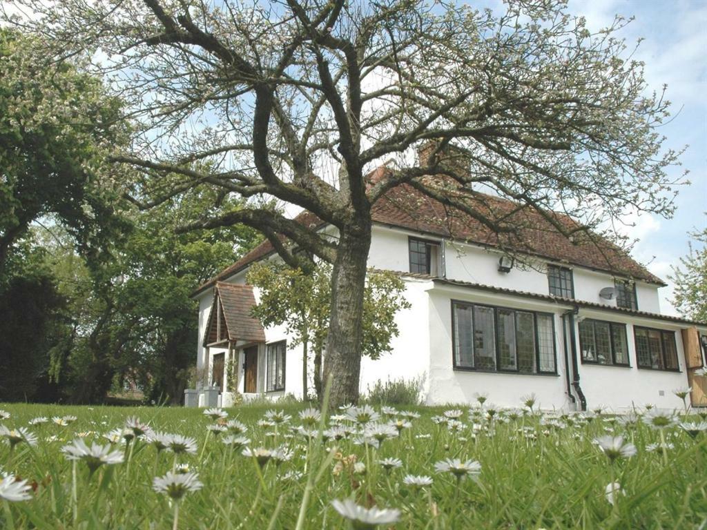 เดอะ ไวท์ เฮาส์ Bed & Breakfast Takeley ห้อง รูปภาพ